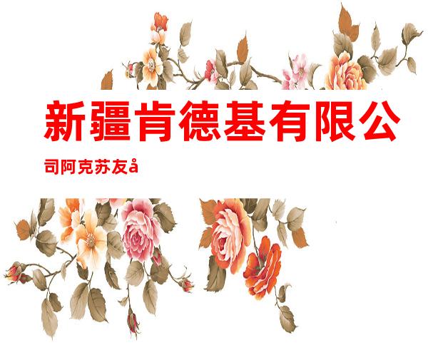 新疆肯德基有限公司阿克苏友好餐厅
