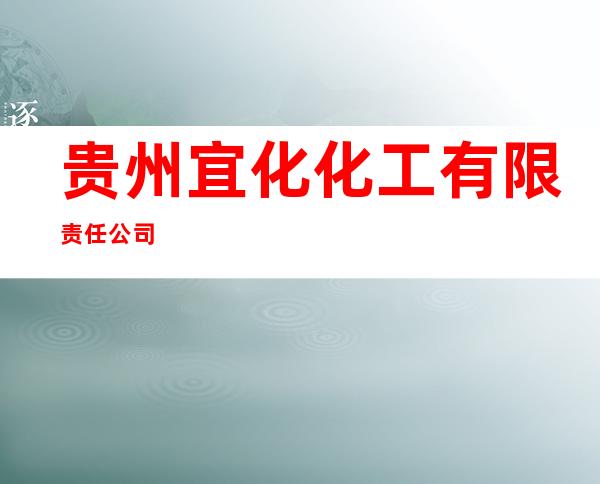 贵州宜化化工有限责任公司